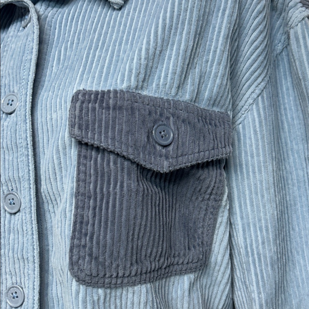 Blue Corduroy Women's shirt Jacket American Eagle size medium wide whale - Picture 5 of 6